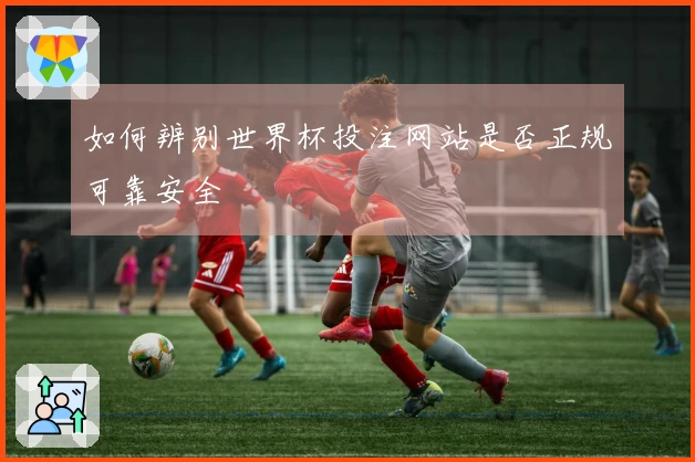 如何辨别世界杯投注网站是否正规可靠安全
