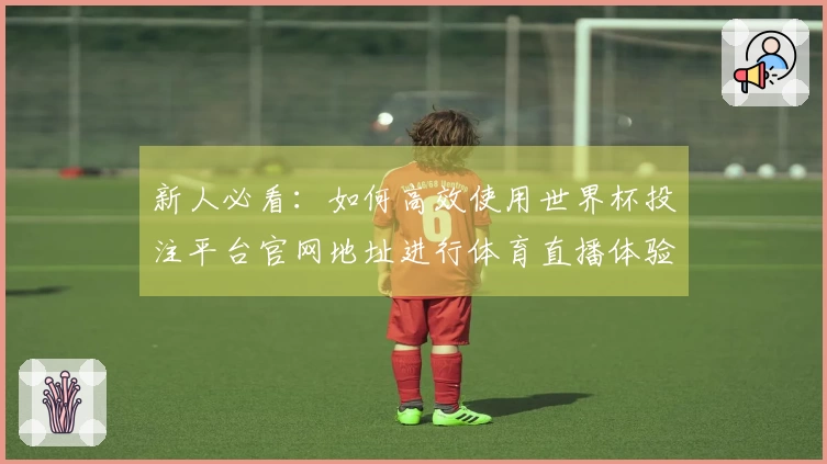 新人必看:如何高效使用世界杯投注平台官网地址进行体育直播体验