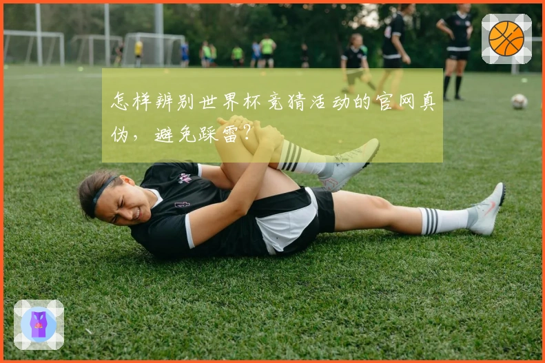 怎样辨别世界杯竞猜活动的官网真伪，避免踩雷？