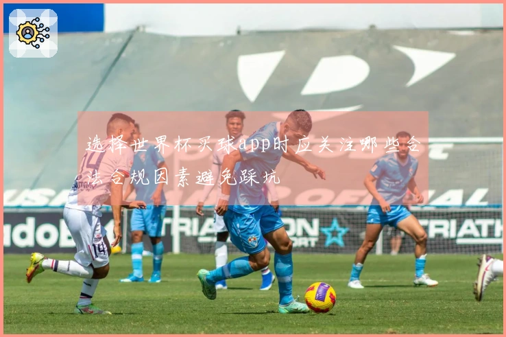 选择世界杯买球app时应关注哪些合法合规因素避免踩坑
