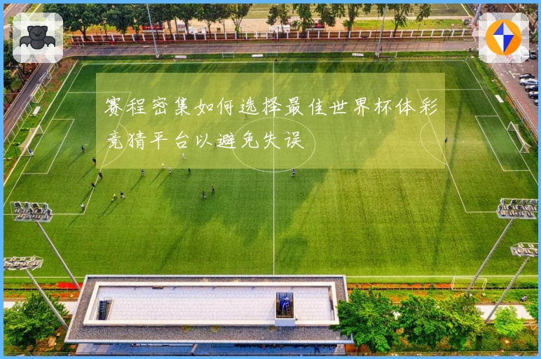 赛程密集如何选择最佳世界杯体彩竞猜平台以避免失误