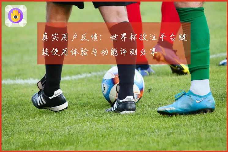 真实用户反馈：世界杯投注平台链接使用体验与功能评测分享