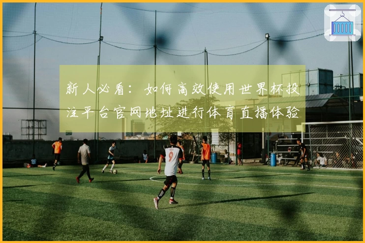 新人必看：如何高效使用世界杯投注平台官网地址进行体育直播体验