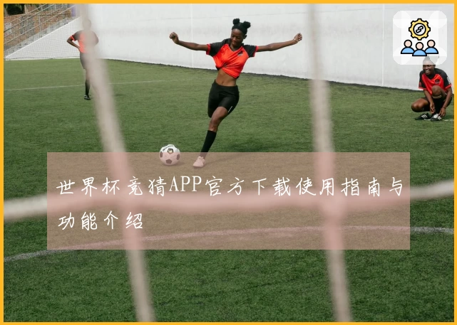 世界杯竞猜APP官方下载使用指南与功能介绍