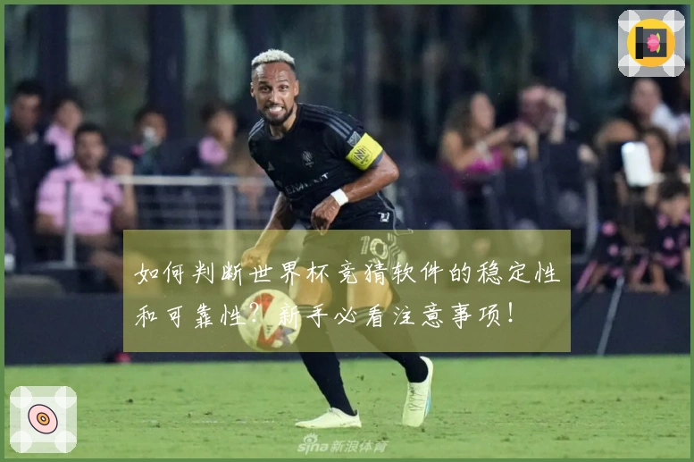 如何判断世界杯竞猜软件的稳定性和可靠性？新手必看注意事项！