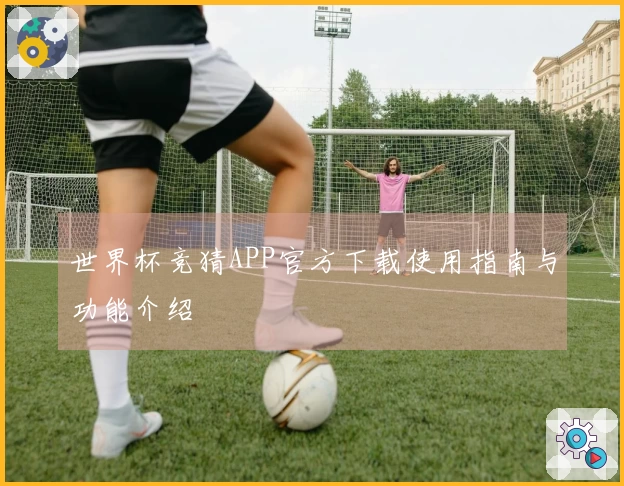 世界杯竞猜APP官方下载使用指南与功能介绍