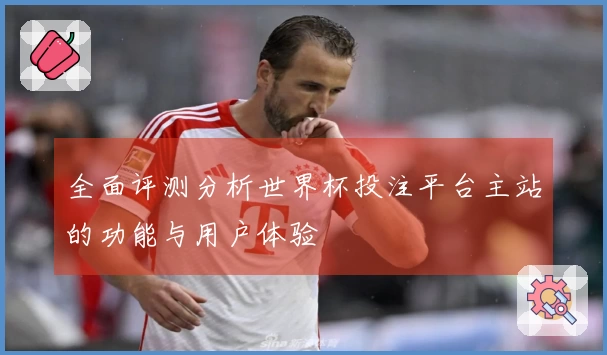 全面评测分析世界杯投注平台主站的功能与用户体验
