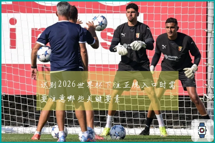 识别2026世界杯下注正规入口时需要注意哪些关键要素