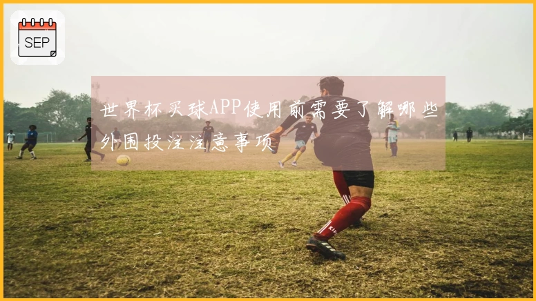 世界杯买球APP使用前需要了解哪些外围投注注意事项