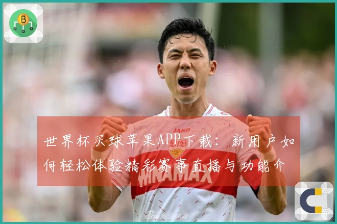 世界杯买球苹果APP下载:新用户如何轻松体验精彩赛事直播与功能介绍