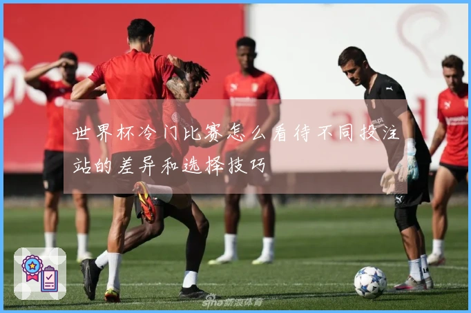 世界杯冷门比赛怎么看待不同投注站的差异和选择技巧