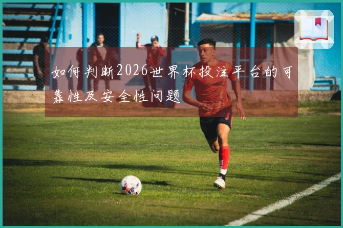 如何判断2026世界杯投注平台的可靠性及安全性问题