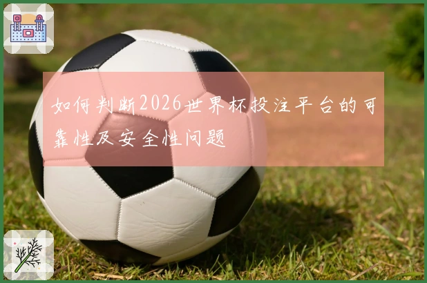 如何判断2026世界杯投注平台的可靠性及安全性问题