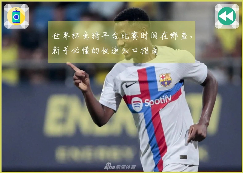 世界杯竞猜平台比赛时间在哪查，新手必懂的快速入口指南