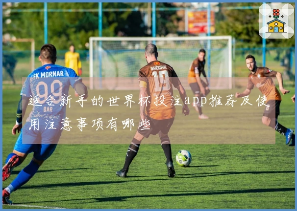 适合新手的世界杯投注app推荐及使用注意事项有哪些