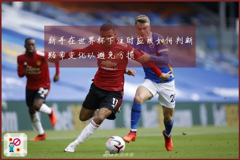 新手在世界杯下注时应该如何判断赔率变化以避免亏损